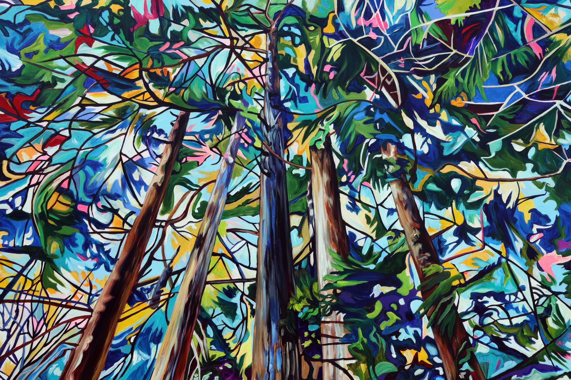 Spirit Forest